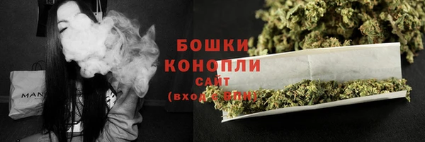 прущие грибы Богородицк