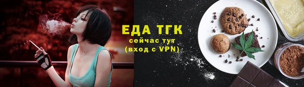 гашик Тайга