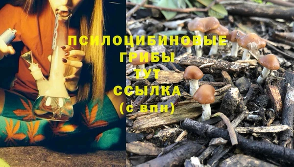 первитин Белокуриха