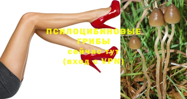 первитин Белокуриха