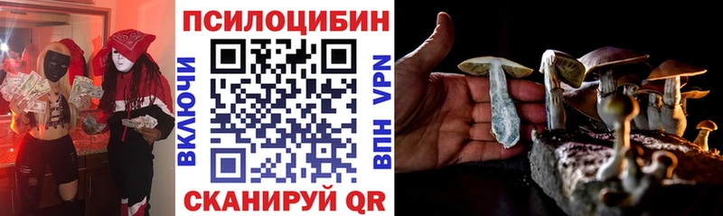 где купить Ворсма Галлюциногенные грибы Cubensis